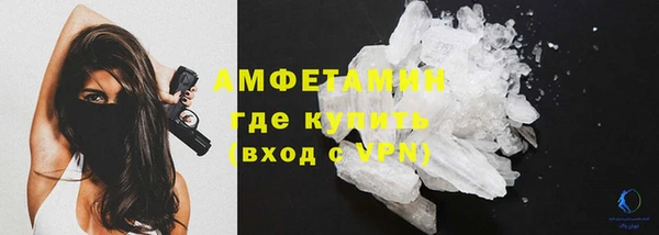 сатива Алзамай