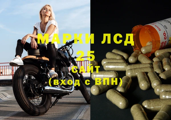 spice Алексеевка