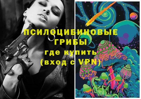 spice Алексеевка