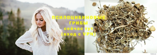 spice Алексеевка