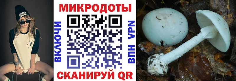 купить наркотики сайты  ОМГ ОМГ ТОР  Галлюциногенные грибы прущие грибы  Уфа 