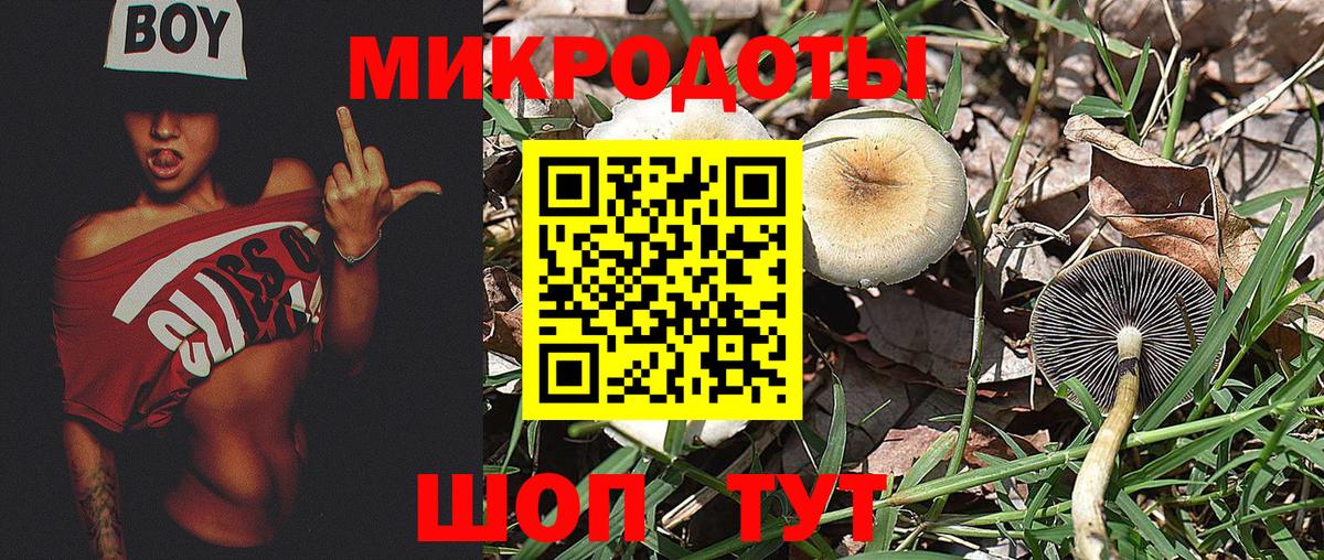 Псилоцибиновые грибы Magic Shrooms Уфа